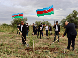 Samux rayonunda “27 sentyabr - Anım Günü” ilə bağlı ağacəkmə aksiyası keçirilib