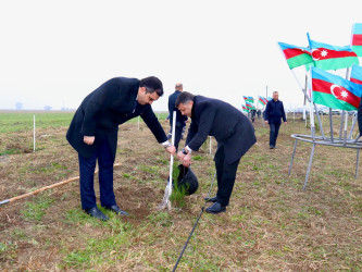 “Şəhərsalma və Memarlıq İli” çərçivəsində "Su çərşənbəsi" münasibəti ilə Samux rayonunda ağacəkmə aksiyası keçirilib.
