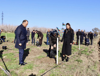 Samux rayonunda “Şəhərsalma və Memarlıq İli” çərçivəsində Torpaq çərşənbəsi münasibətilə növbəti ağacəkmə aksiyası keçirilib.