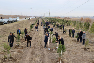 Samux rayonunda Ulu öndərin əziz xatirəsi böyük ehtiramla yad edilib