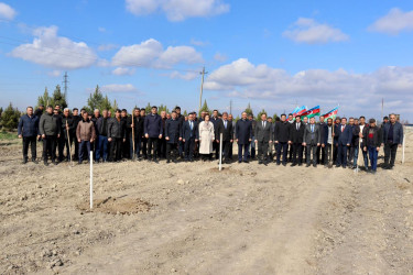 Samux rayonunda “Şəhərsalma və Memarlıq İli” çərçivəsində Yel çərşənbəsi münasibətilə növbəti ağacəkmə aksiyası təşkil olunub.