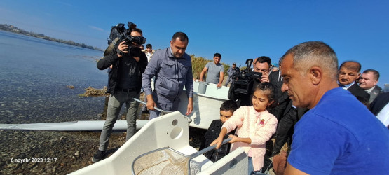 Zəfər Günü ilə əlaqədar Samux rayonunda Kür çayına körpə balıqlar buraxılıb