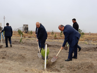 Samuxda "Yaşıl dünya naminə həmrəylik ili" çərçivəsində növbəti təmizlik aksiyası keçirilib.