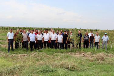 Samuxda növbəti dəfə "Yaşıl dünya naminə həmrəylik ili" çərçivəsində yenidən təmizlik aksiyası keçirilib