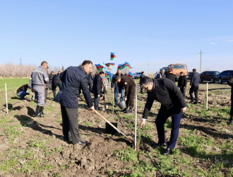 Samux rayonunda “Şəhərsalma və Memarlıq İli” çərçivəsində Torpaq çərşənbəsi münasibətilə növbəti ağacəkmə aksiyası keçirilib.