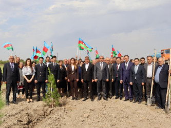 Samuxda “Prokurorluq orqanları əməkdaşlarının peşə bayramı” günü qeyd edilib