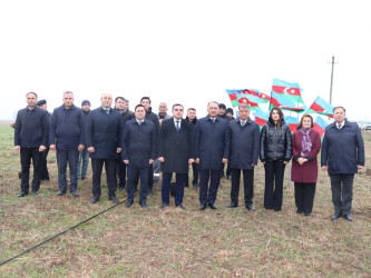 “Şəhərsalma və Memarlıq İli” çərçivəsində "Su çərşənbəsi" münasibəti ilə Samux rayonunda ağacəkmə aksiyası keçirilib.