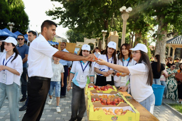 Samux rayonunda “III Ərik Festivalı” və “Aqrar Biznes Festivalı” keçirilib