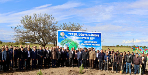 Samux rayonunda növbəti ağacəkmə aksiyası Ziyadlı kəndində keçirilib.