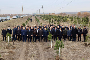 Samux rayonunda Ulu öndərin əziz xatirəsi böyük ehtiramla yad edilib