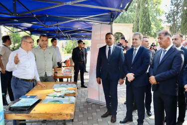 Samux rayonunda “III Ərik Festivalı” və “Aqrar Biznes Festivalı” keçirilib