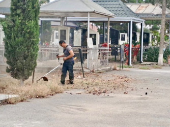 Samuxda “27 Sentyabr – Anım Günü” ilə bağlı ağacəkmə aksiyası və ümumrayon iməciliyi keçirilib