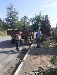 "Yaşıl dünya naminə həmrəylik ili" çərçivəsində Samuxda növbəti dəfə yenidən  təmizlik aksiyası keçirilib