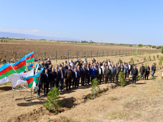 Samuxda “27 sentyabr - Anım Günü” ilə bağlı ağacəkmə aksiyası keçirilib.