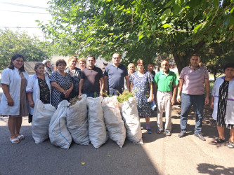 Samuxda "Yaşıl dünya naminə həmrəylik ili" və “Təmiz Ölkəm” layihəsi çərçivəsində təmizlik aksiyası keçirilib