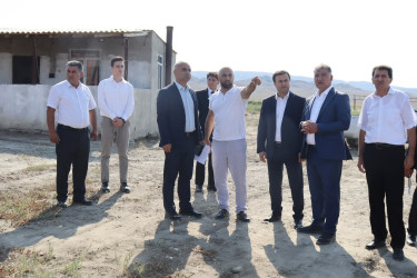 Samuxda iri fermer təsərrüfatlarında monitorinq aparılıb