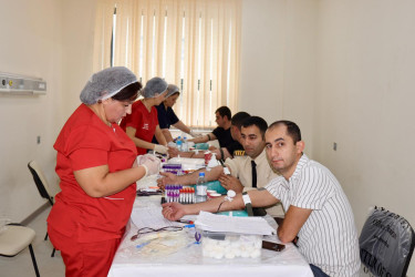 Samux rayonunda “Talassemiyasız həyat naminə” proqram layihəsi çərçivəsində qanvermə aksiyası keçirilib.