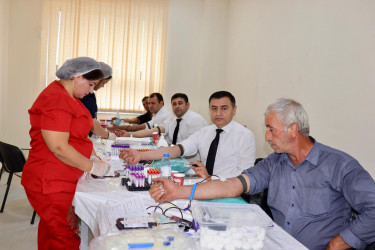 Samux rayonunda “Talassemiyasız həyat naminə” proqram layihəsi çərçivəsində qanvermə aksiyası keçirilib.