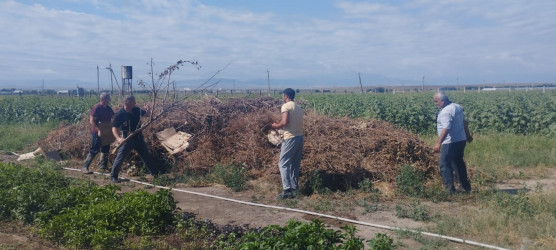 "Yaşıl dünya naminə həmrəylik ili" çərçivəsində Samuxda növbəti dəfə yenidən  təmizlik aksiyası keçirilib