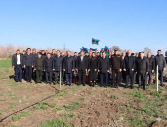 Samux rayonunda “Şəhərsalma və Memarlıq İli” çərçivəsində Torpaq çərşənbəsi münasibətilə növbəti ağacəkmə aksiyası keçirilib.