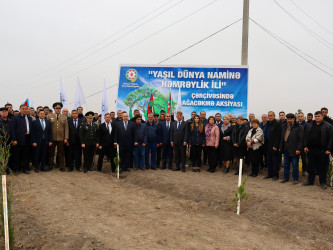 Samuxda "Yaşıl dünya naminə həmrəylik ili" çərçivəsində növbəti təmizlik aksiyası keçirilib.