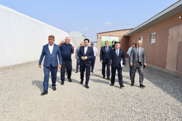 Samuxda iri fermer təsərrüfatlarında monitorinq aparılıb