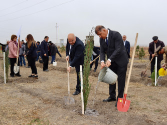 Samuxda "Yaşıl dünya naminə həmrəylik ili" çərçivəsində növbəti təmizlik aksiyası keçirilib.